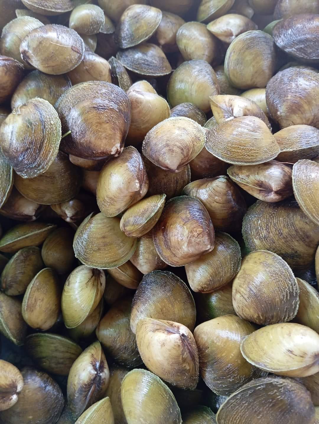 Alaiza Mañoso - Available unya ‼️😍 FRESH pajud 😋 Tuway...