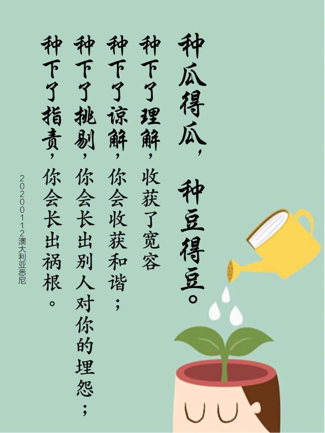 心灵法门佛学问答卢台长 种瓜得瓜 种豆得豆 种下了理解 收获了宽容 种下了谅解 你会收获和谐 Facebook