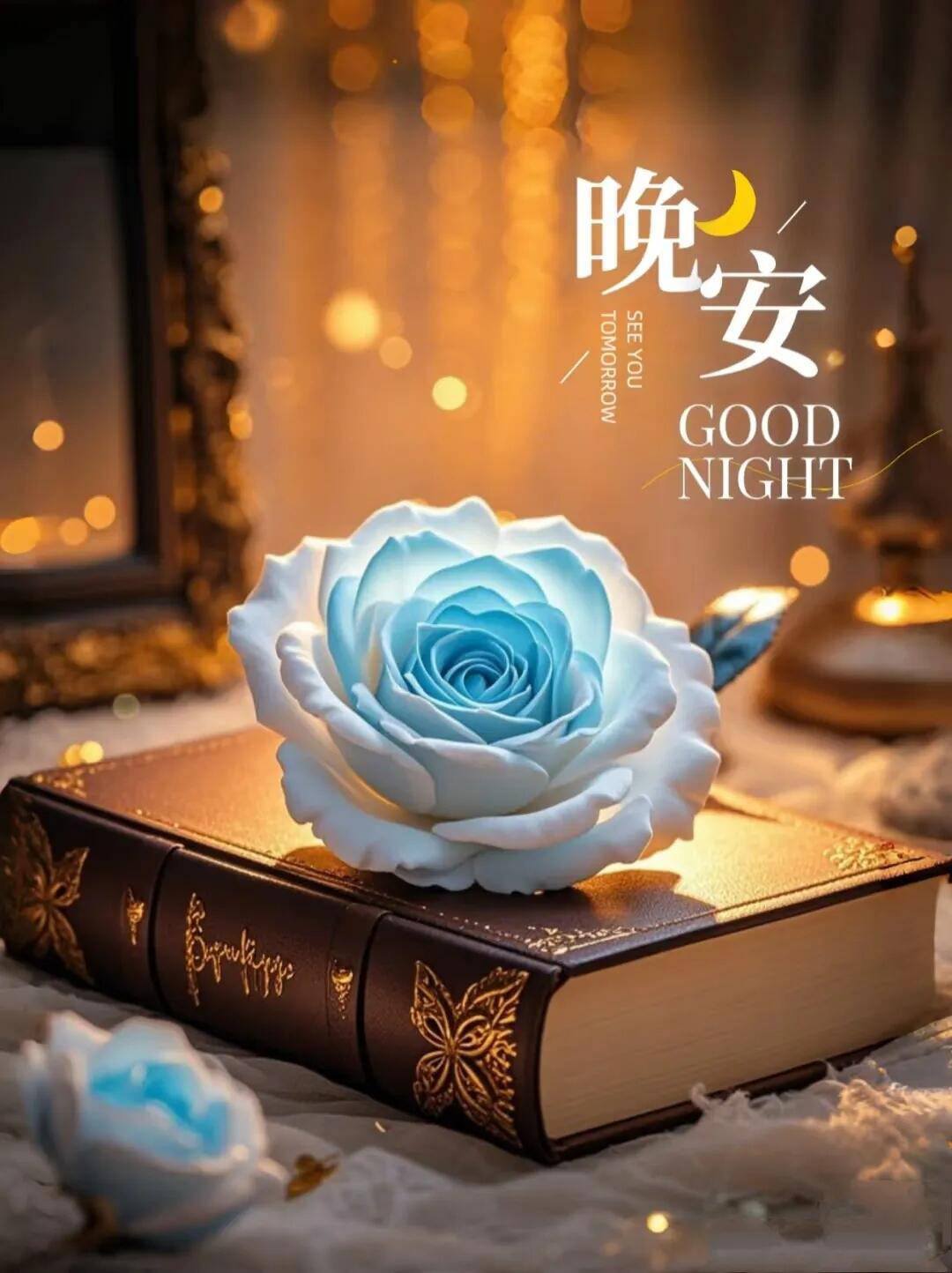 早安你好 元氣滿滿 | 晚安舒心好眠🌹消除一天的疲憊🪻🦋🍀😴 | Facebook