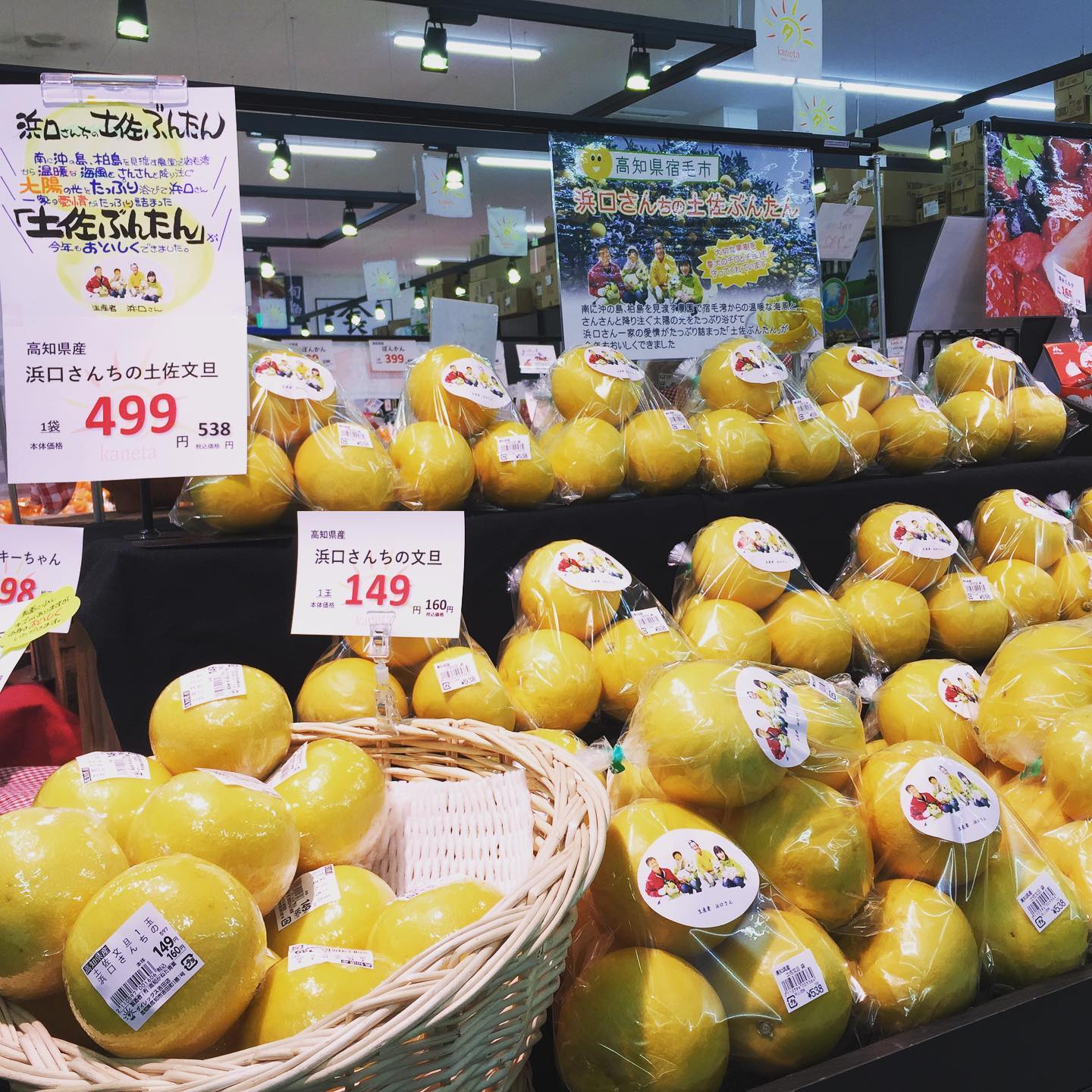 こんにちは〜😃 #高知県宿毛市 #浜口さんちの土佐文旦 #販売中