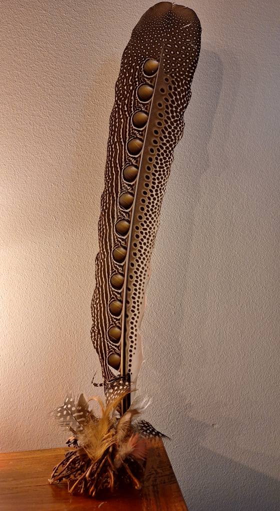 Veniard Cock Pheasant Centre Tail Feather for Fly Tying, Hat and