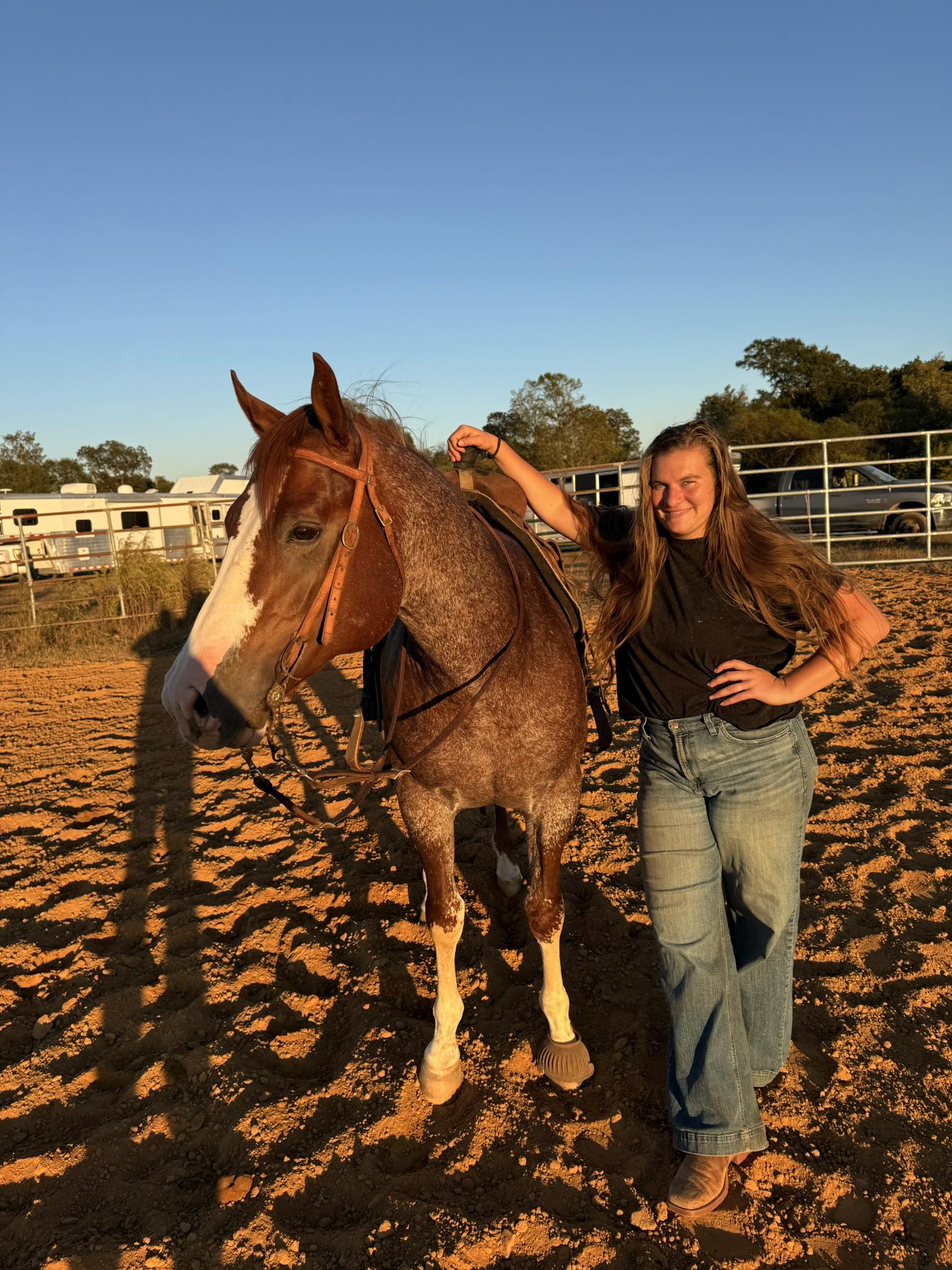 Hannah - Got to ride Back Up Terry - Stallion this afternoon 😍🤩 he’s ...