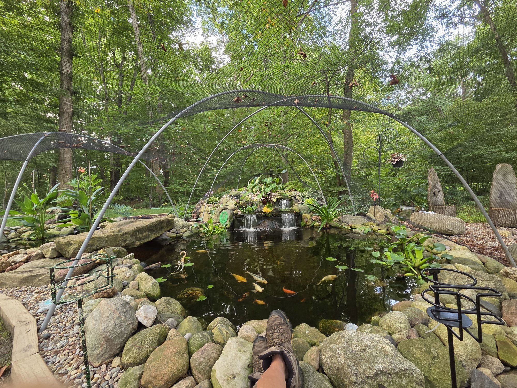 Any experience with pond screens vs netting
