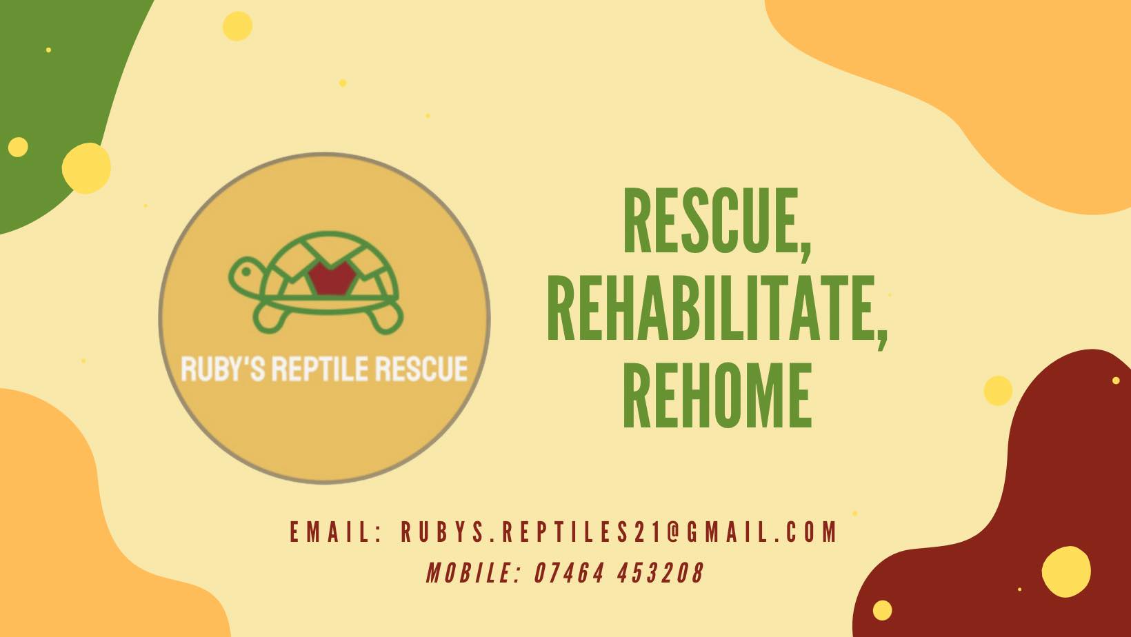 Ruby's Reptile Rescue | Pontypridd