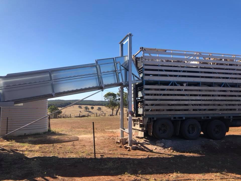 Our new loading ramp made by Slide... - Fairburn Sheep Studs