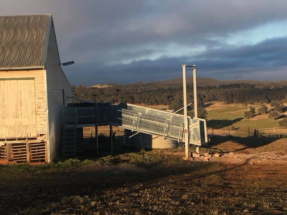 Our new loading ramp made by Slide... - Fairburn Sheep Studs