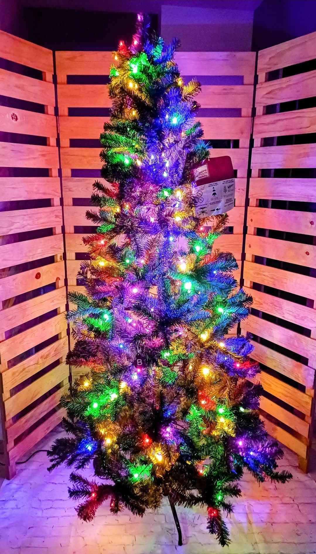 Best HD Pictures about  6 5 Ft Festive Pine Christmas Tree  with No AI Images