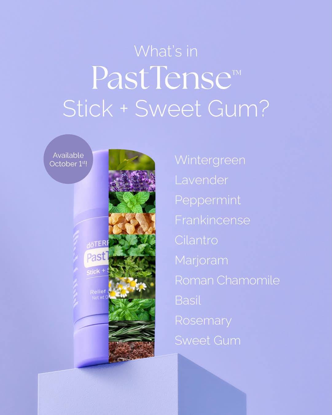 Meet the PastTense Stick + Sweet Gum, your mess-free roll-on for