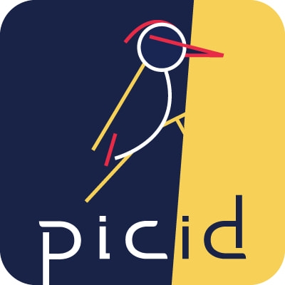 Picid | Seoul