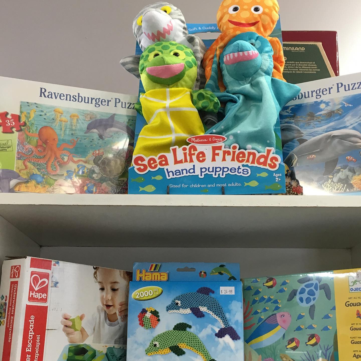 Our Sea Life have arrived,... - K and K Creative Toys | Facebook