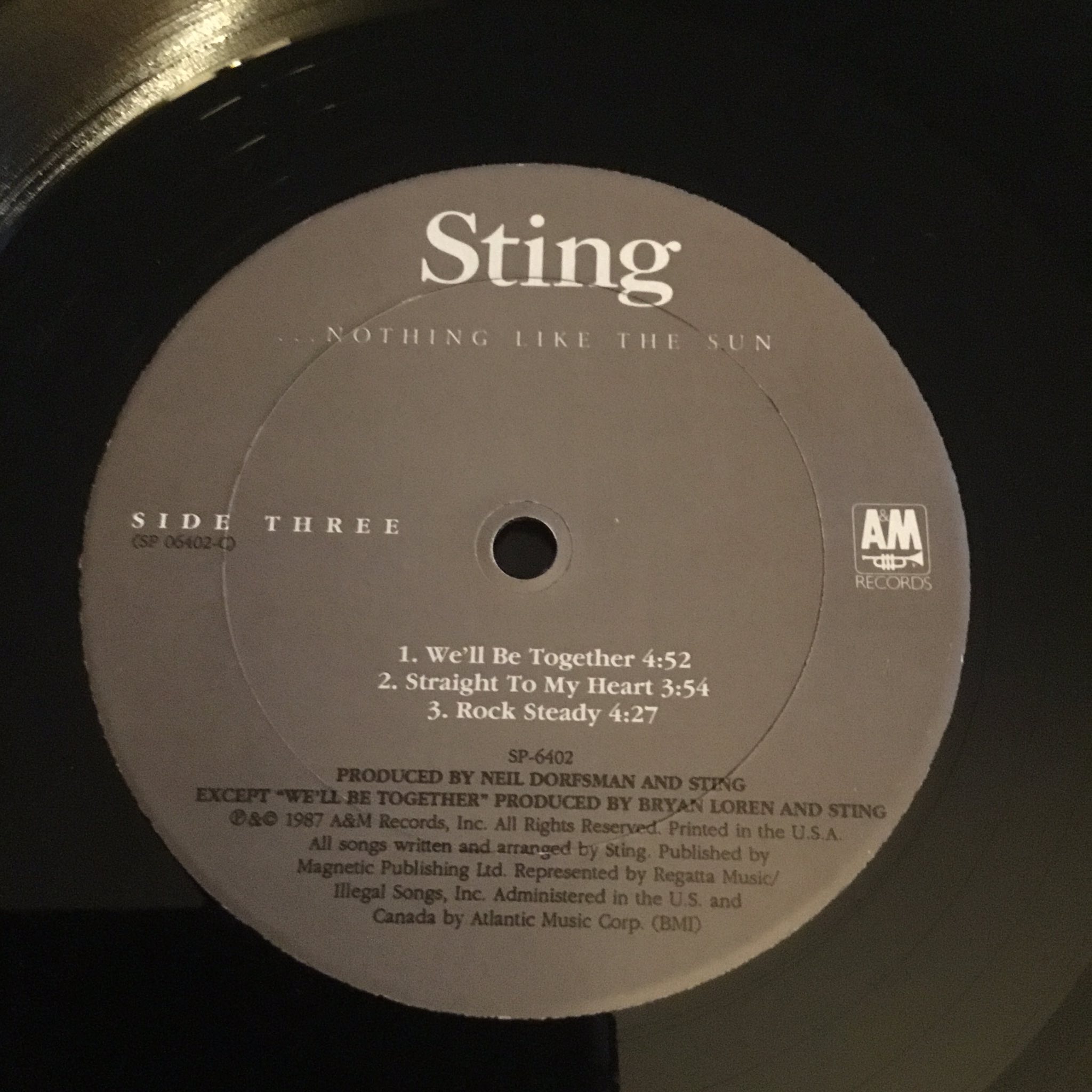 Sting's Nothing Like the Sun album on vinyl