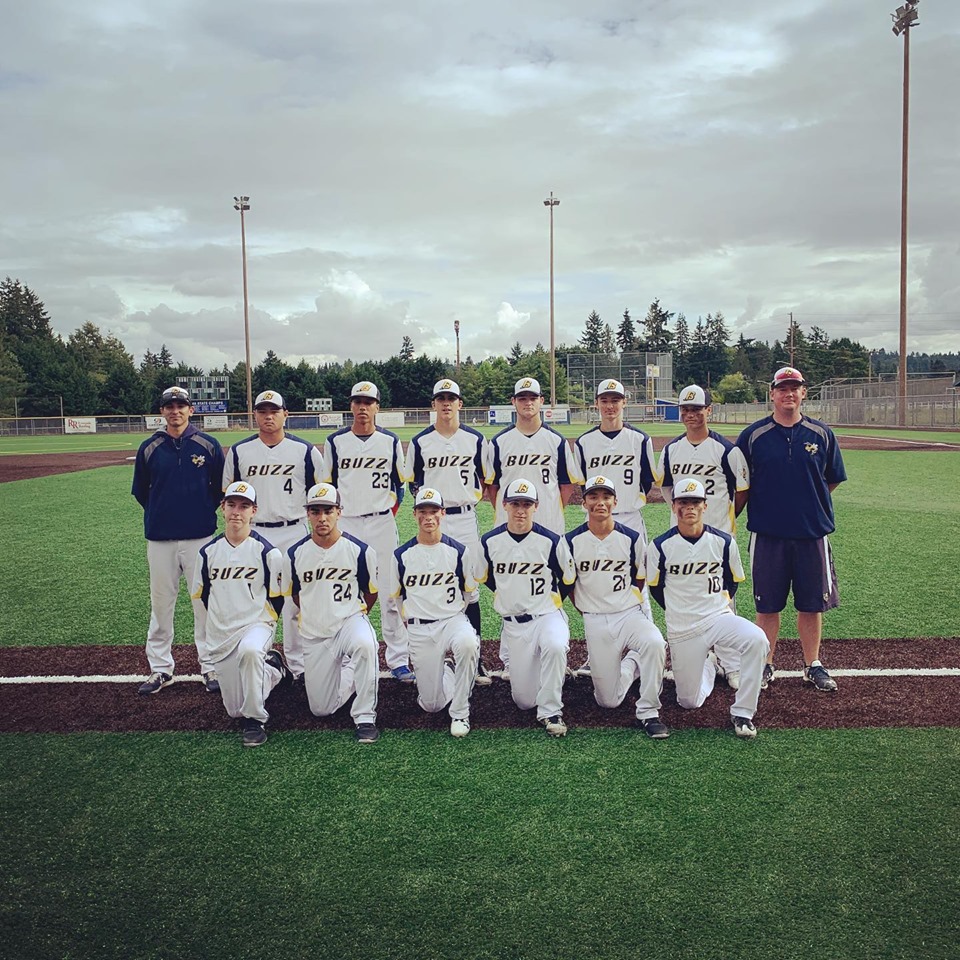 Buzz Baseball Club