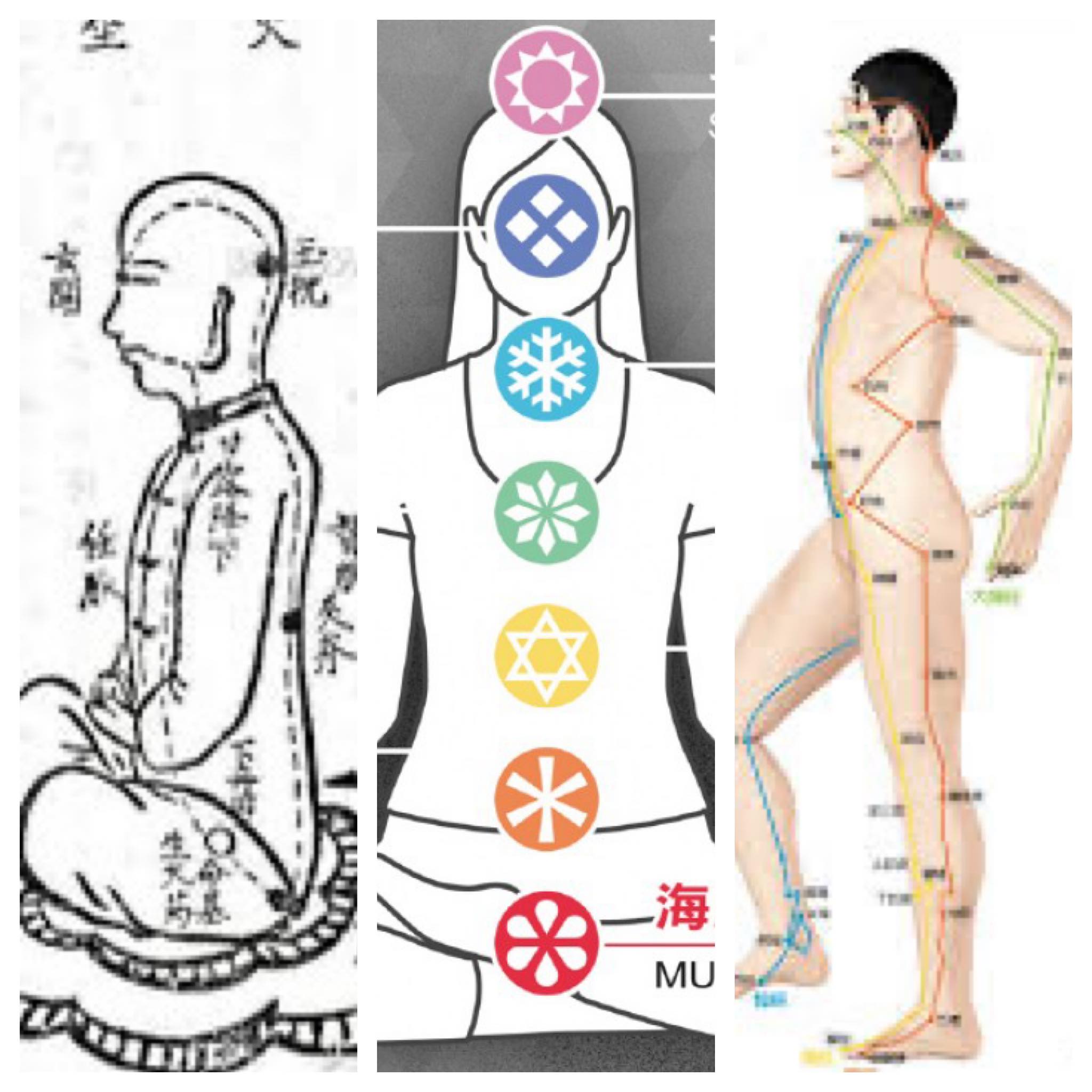 Understanding energy systems in martial arts