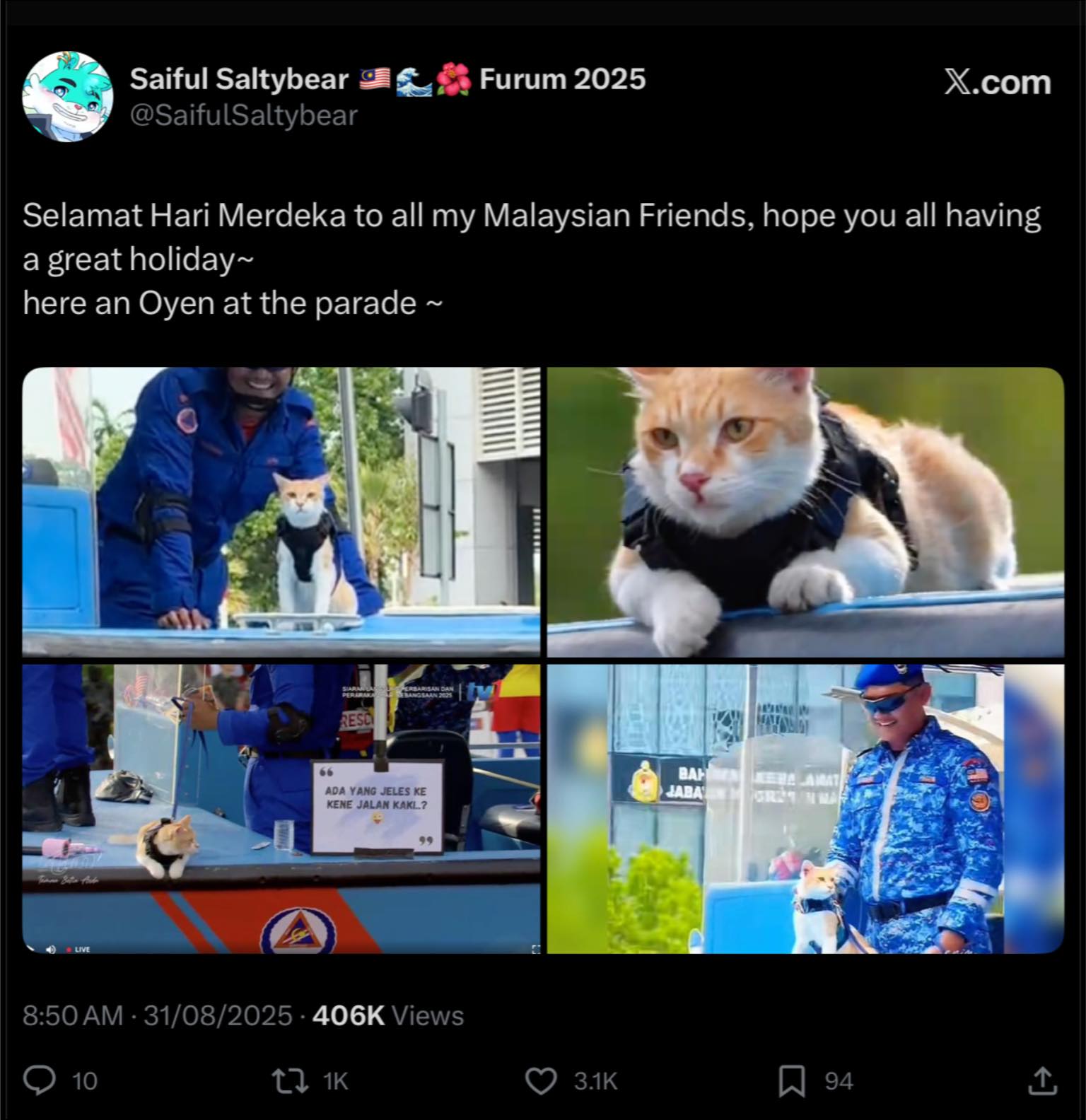 Saiful SaltyBear