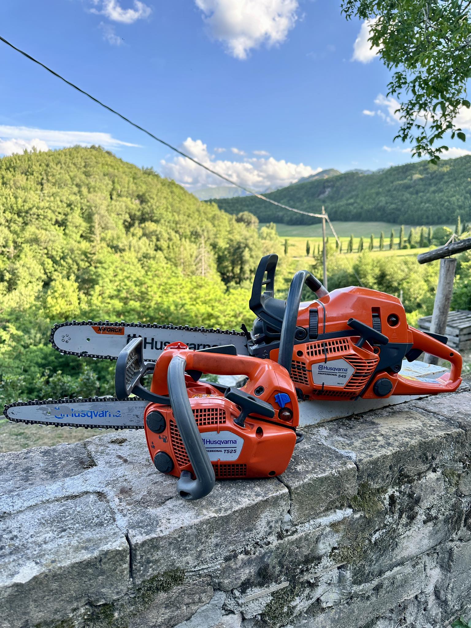These are mine: the 545 Mark II and the T525