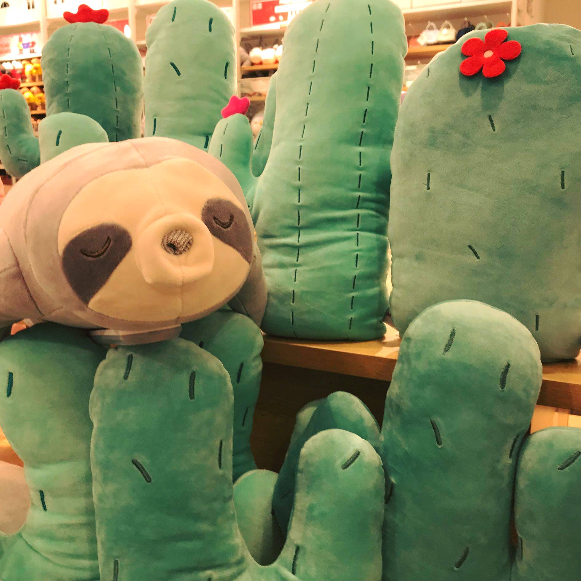 Stuffed Toy Miniso Perezoso Miniso Este Y Muchos Otros Peluches Te Estarán Esperando En main image 4