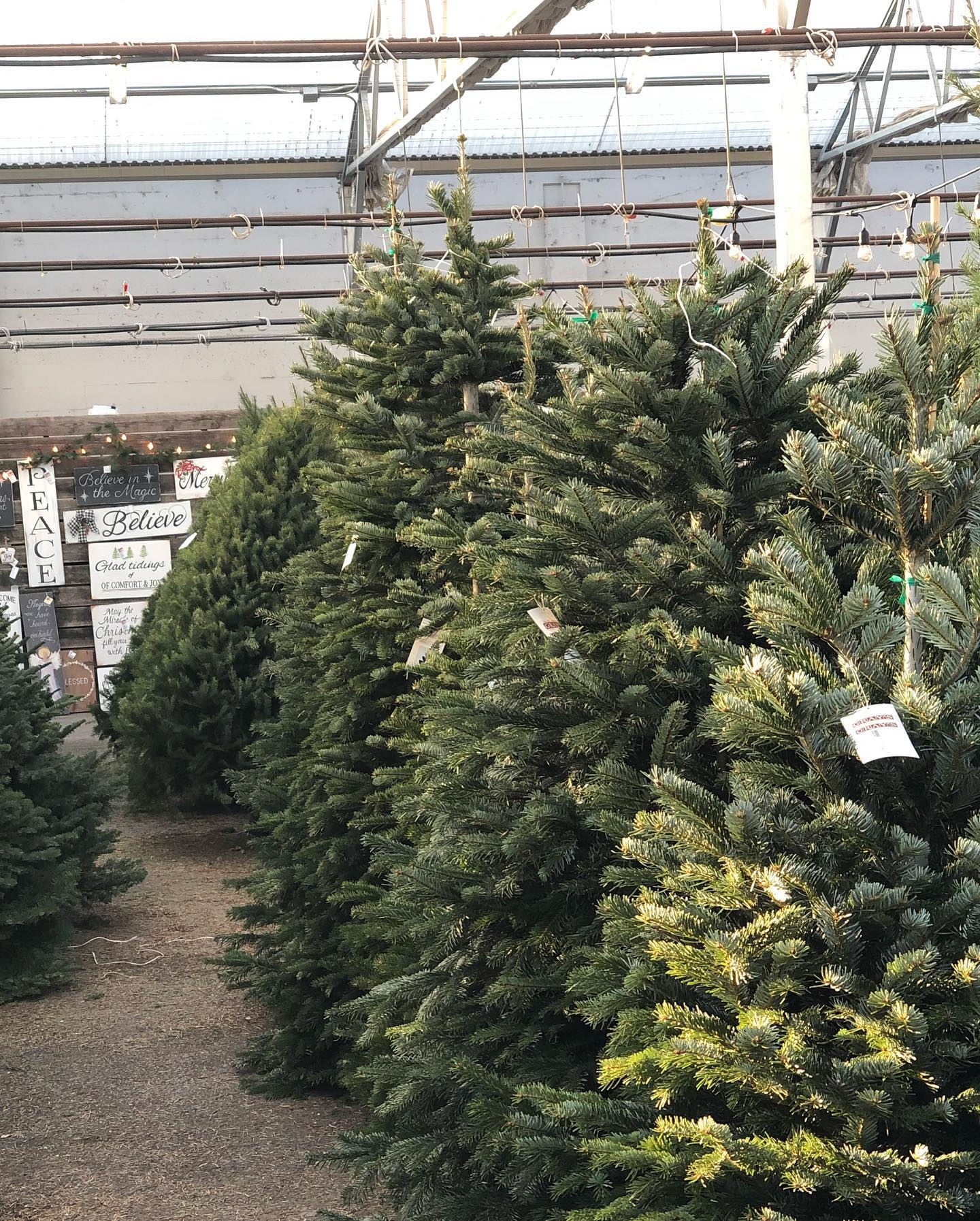 Gray's Garden Center Outlet | Springfield OR