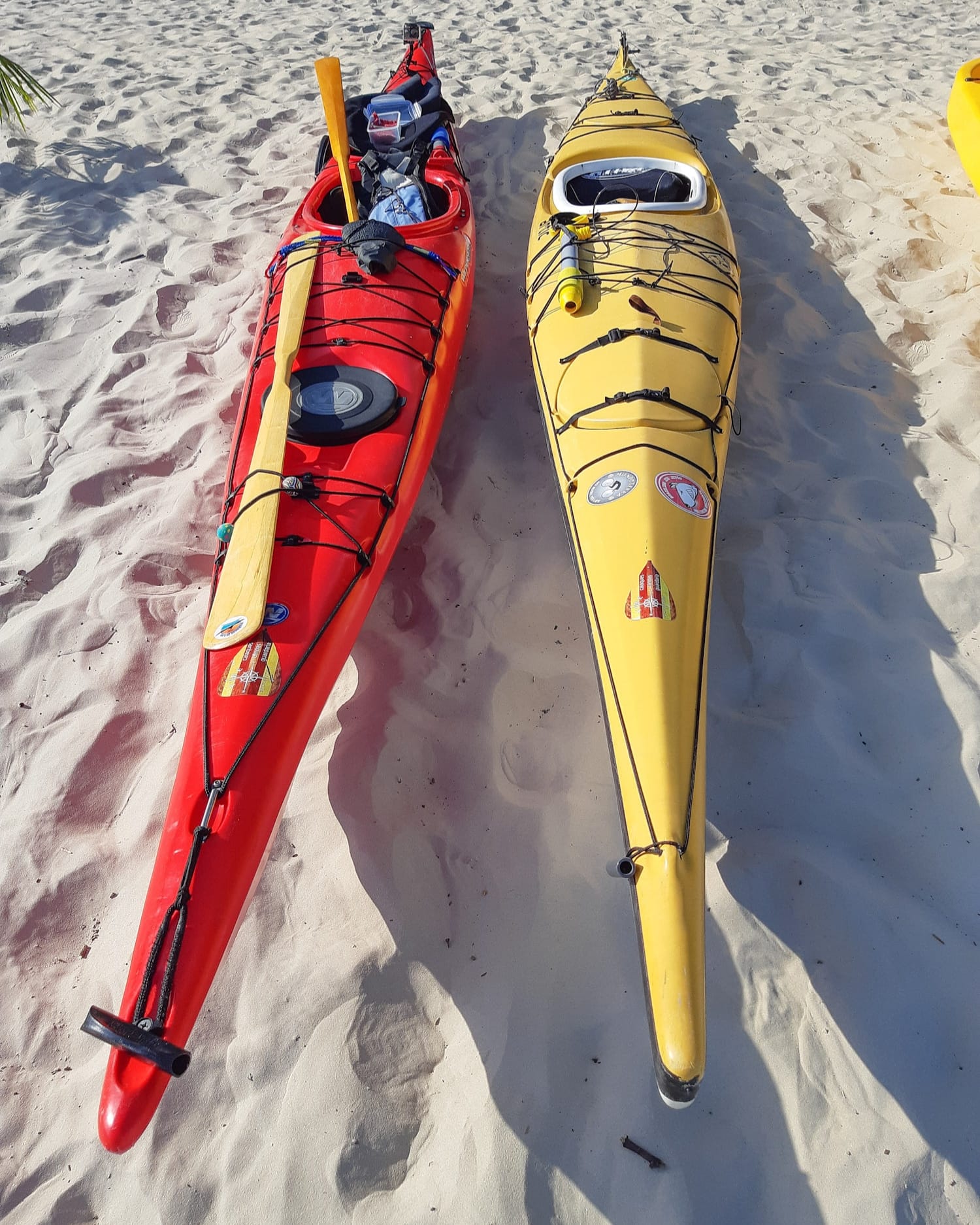Rogue Wave Riders