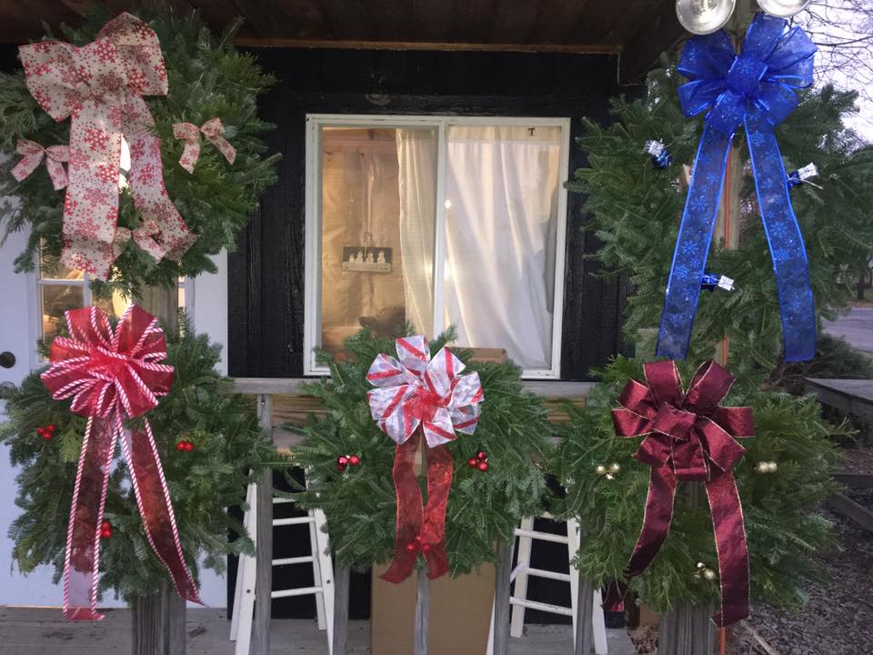 Soliday Tree Farm | Warners NY