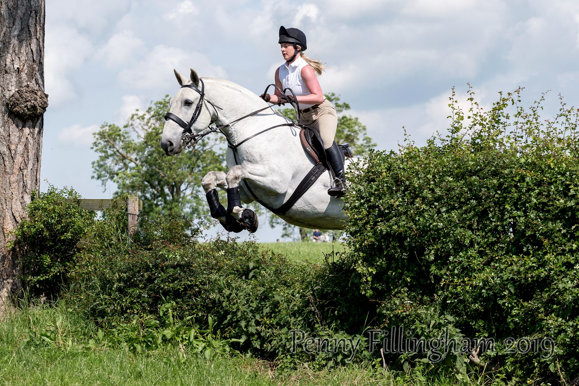 Penny - All pics from yesterdays Quorn pleasure ride are now online. On ...