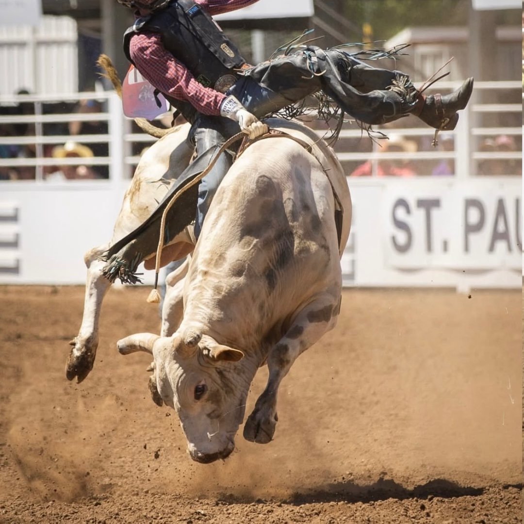 Brown Bomber of Pete Carr Pro Rodeo | Stock Contractor at Hempstead TX ...