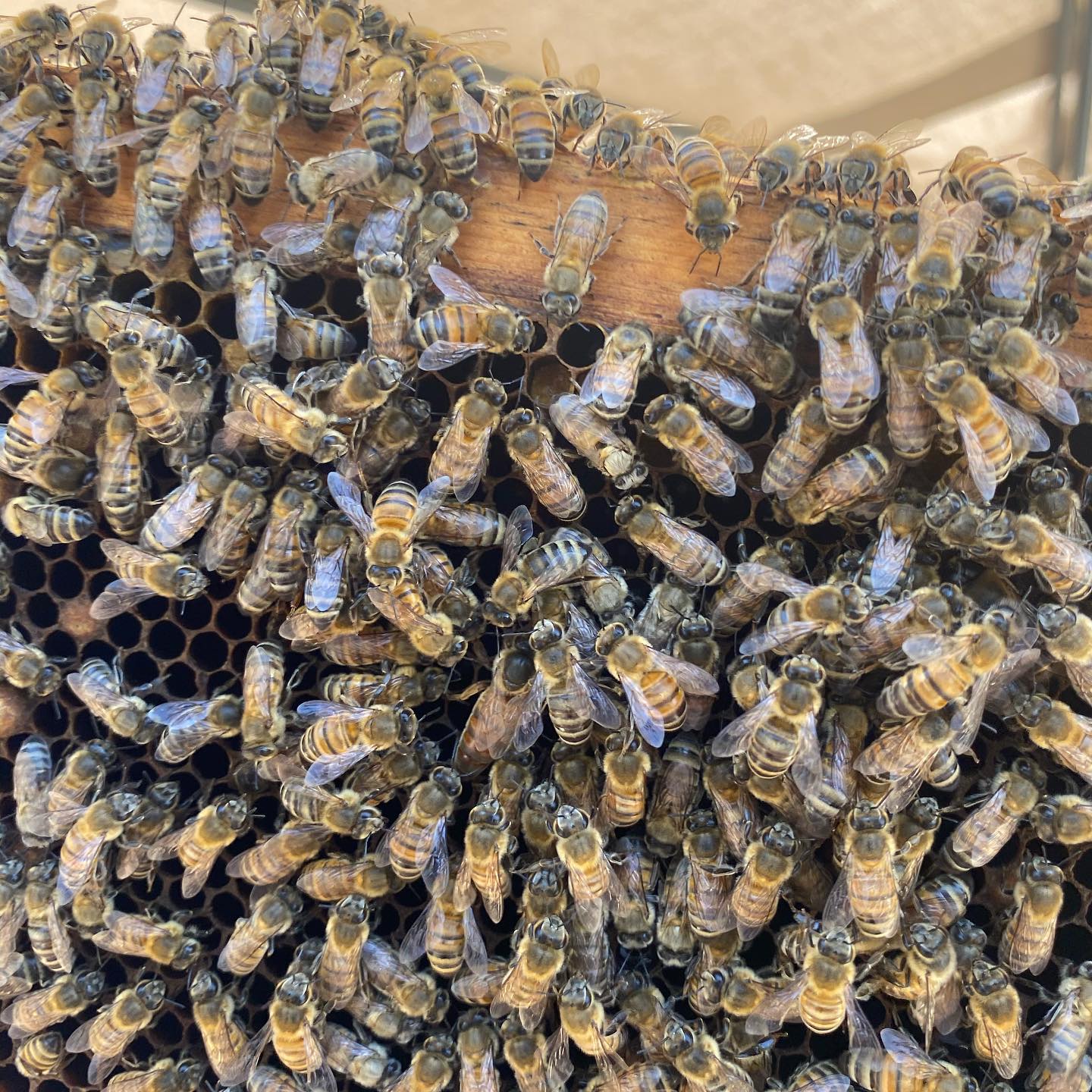 Small Box Farms