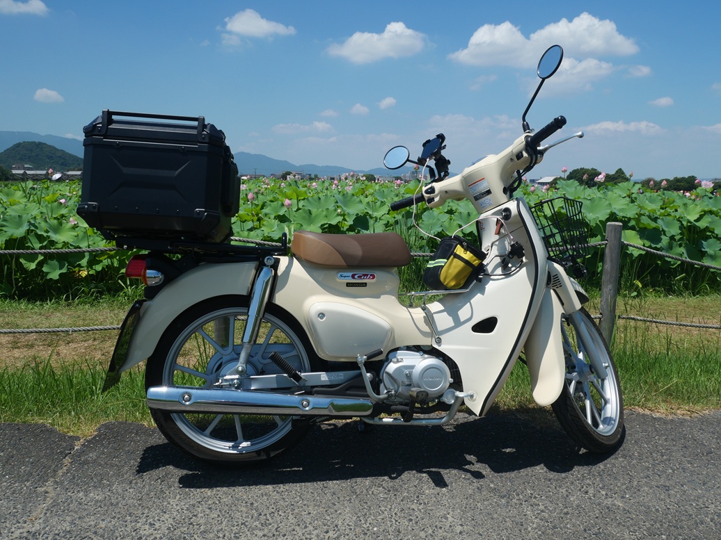 皆様こんばんは、中華バギーエンジン（多分48ccシリンダーボアアップで