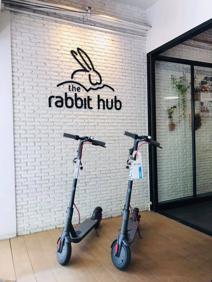 The Rabbit Hub - The Rabbit Hub ขอแนะนำ น้องใหม่ “ SCOOTA...