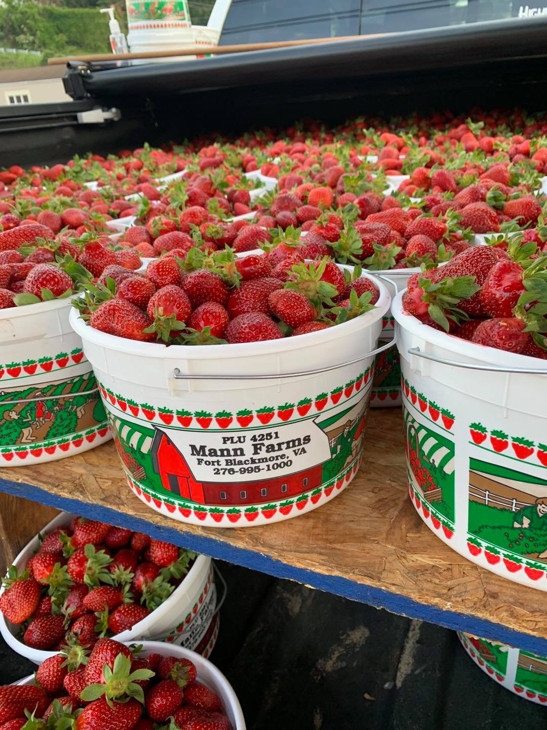 fresh-picked-local-local-strawberries-abingdon-facebook