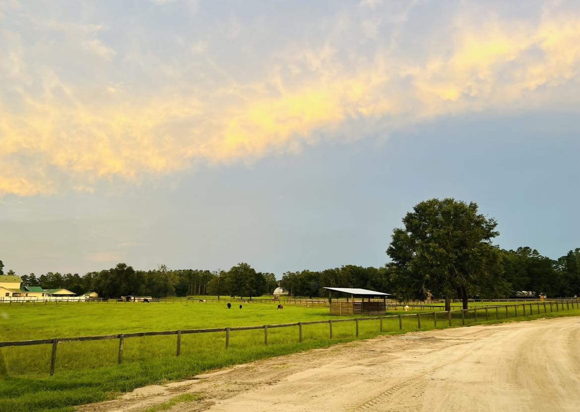 STAR RANCH | Morriston FL
