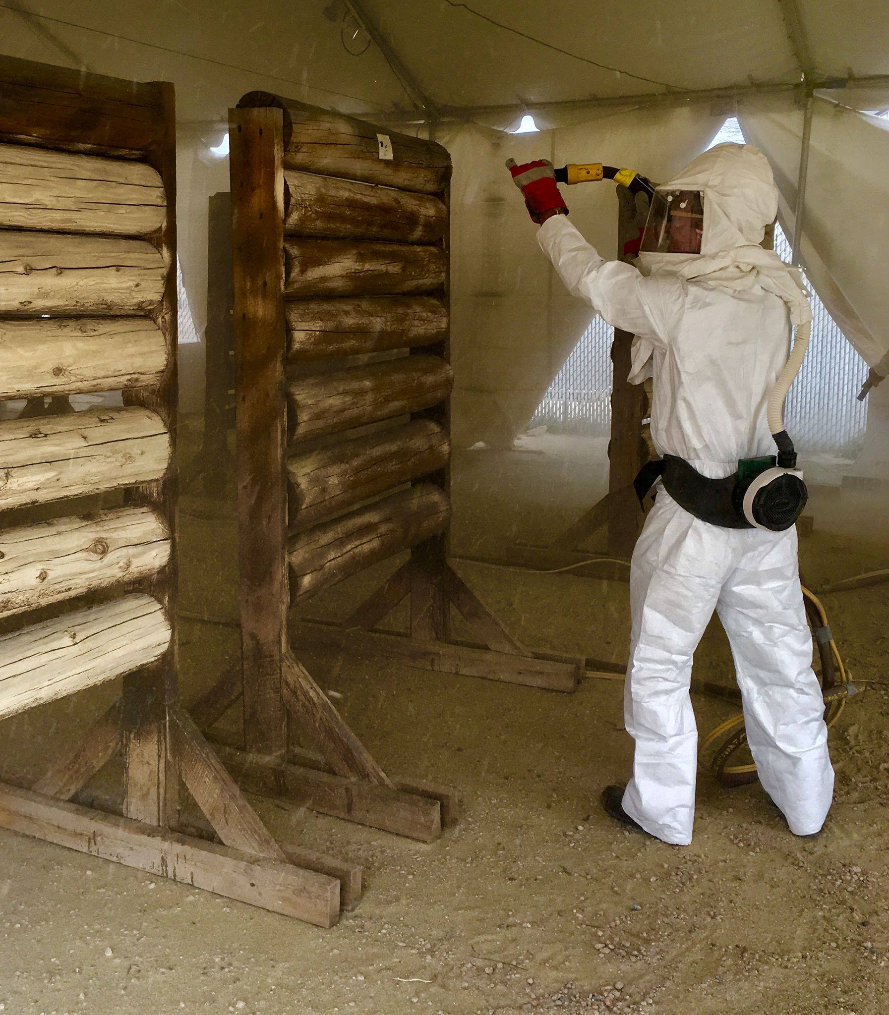 8650 Cabin Restoration