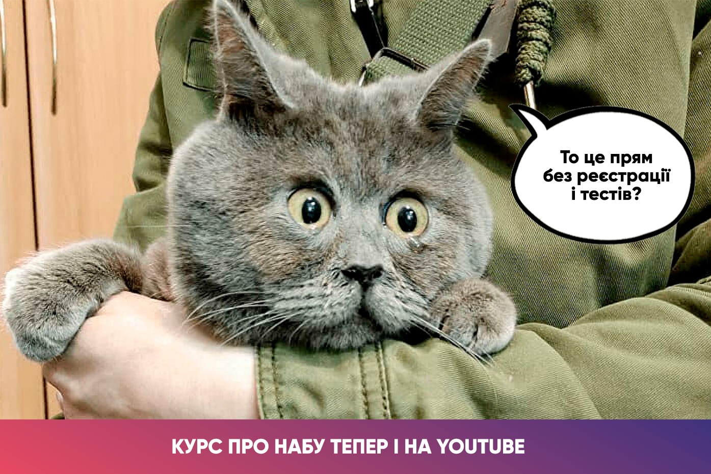 Пикрю коты. Ростовский кот Федя. Удивленный кот Федя из Ростова