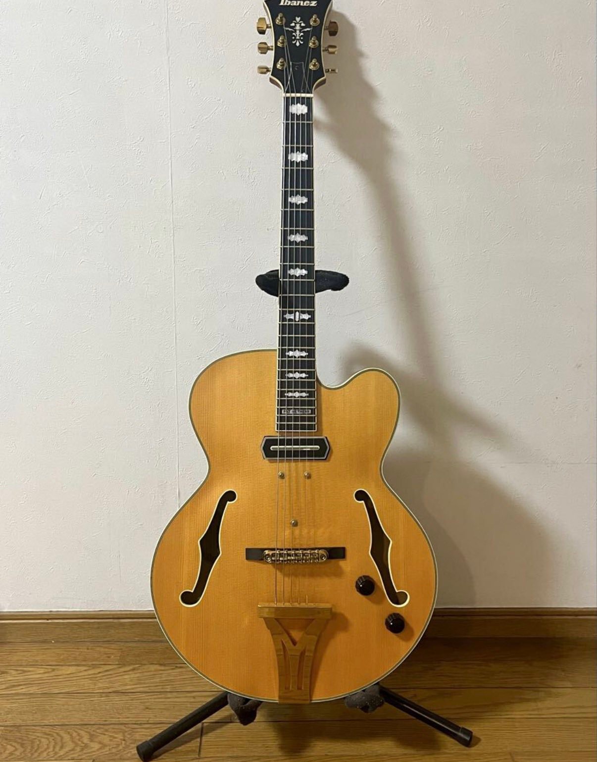 Ibanez PM3CとDaniel Slaman Pat Metheny Custom 似て非なるもの?