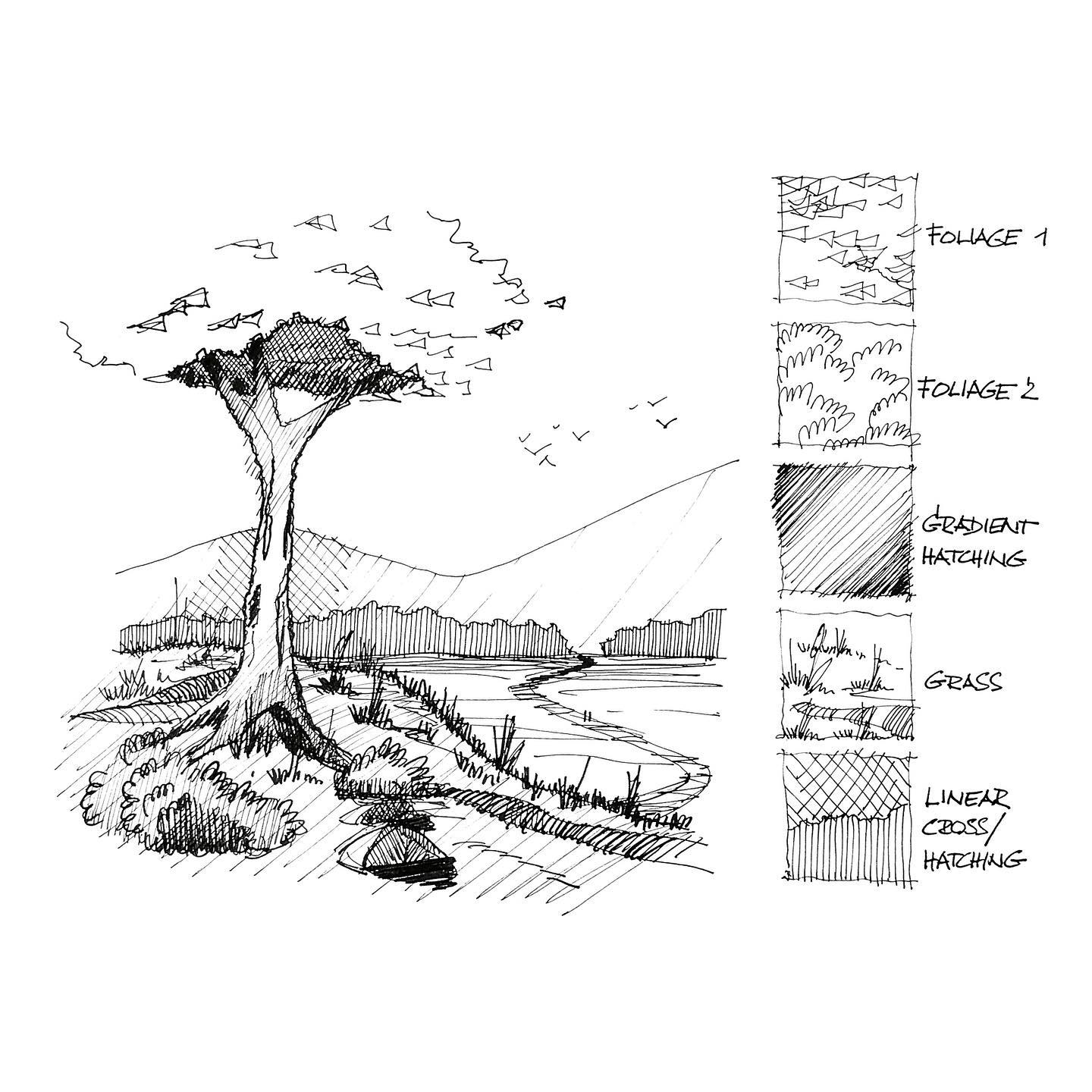 IllustrArch - Compilation of hand-sketched trees and...