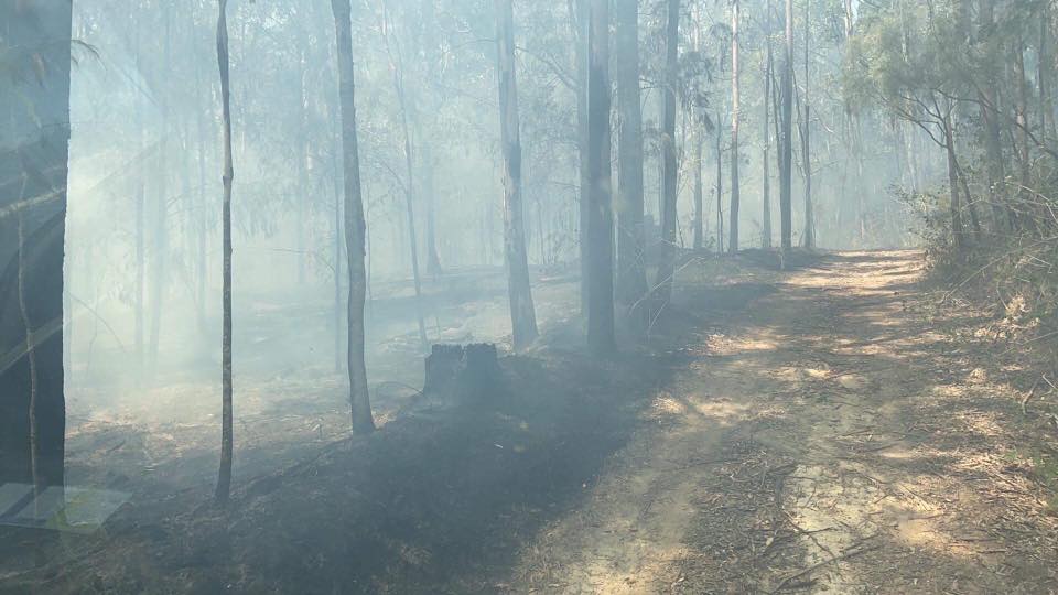 Our crew is back out again... - Wyee Point Rural Fire Brigade