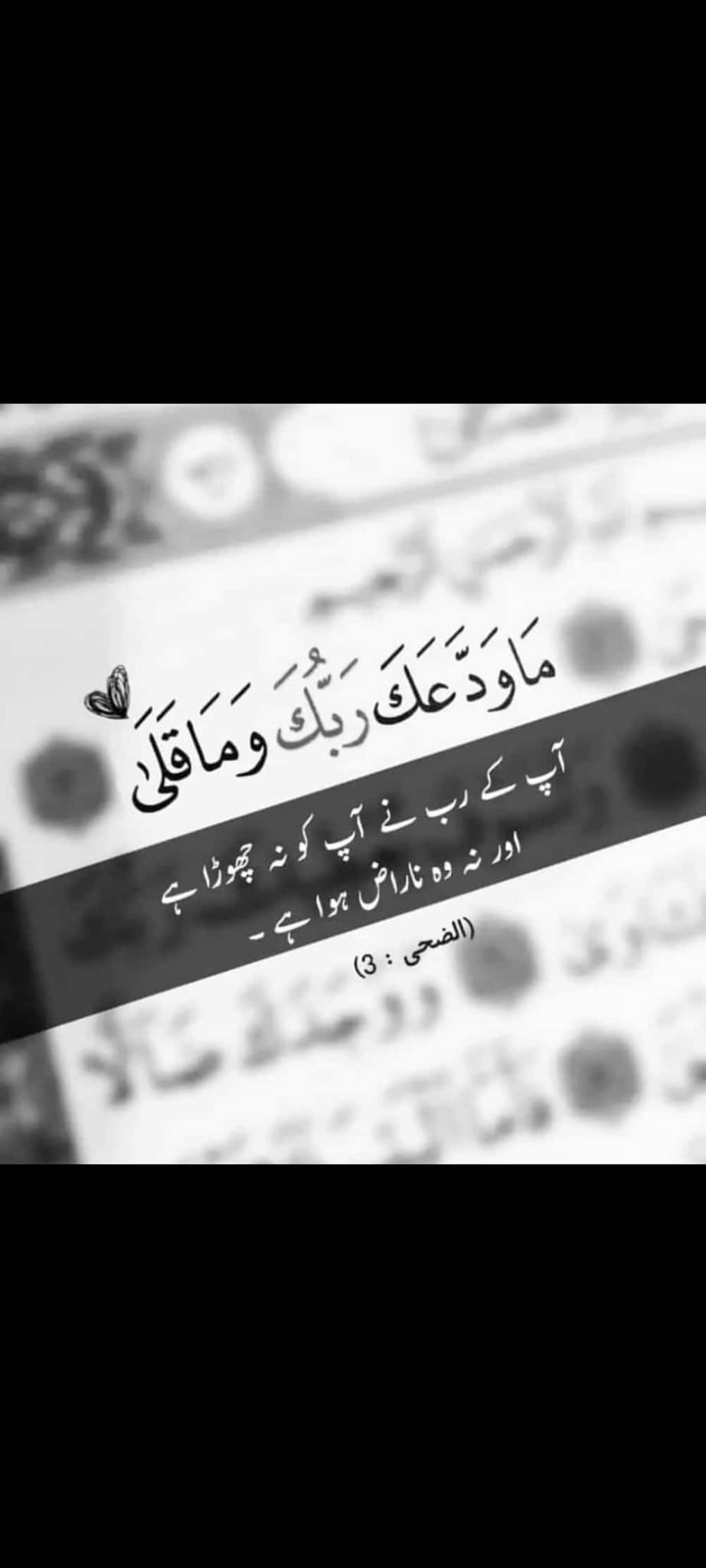 Asma Rafiq