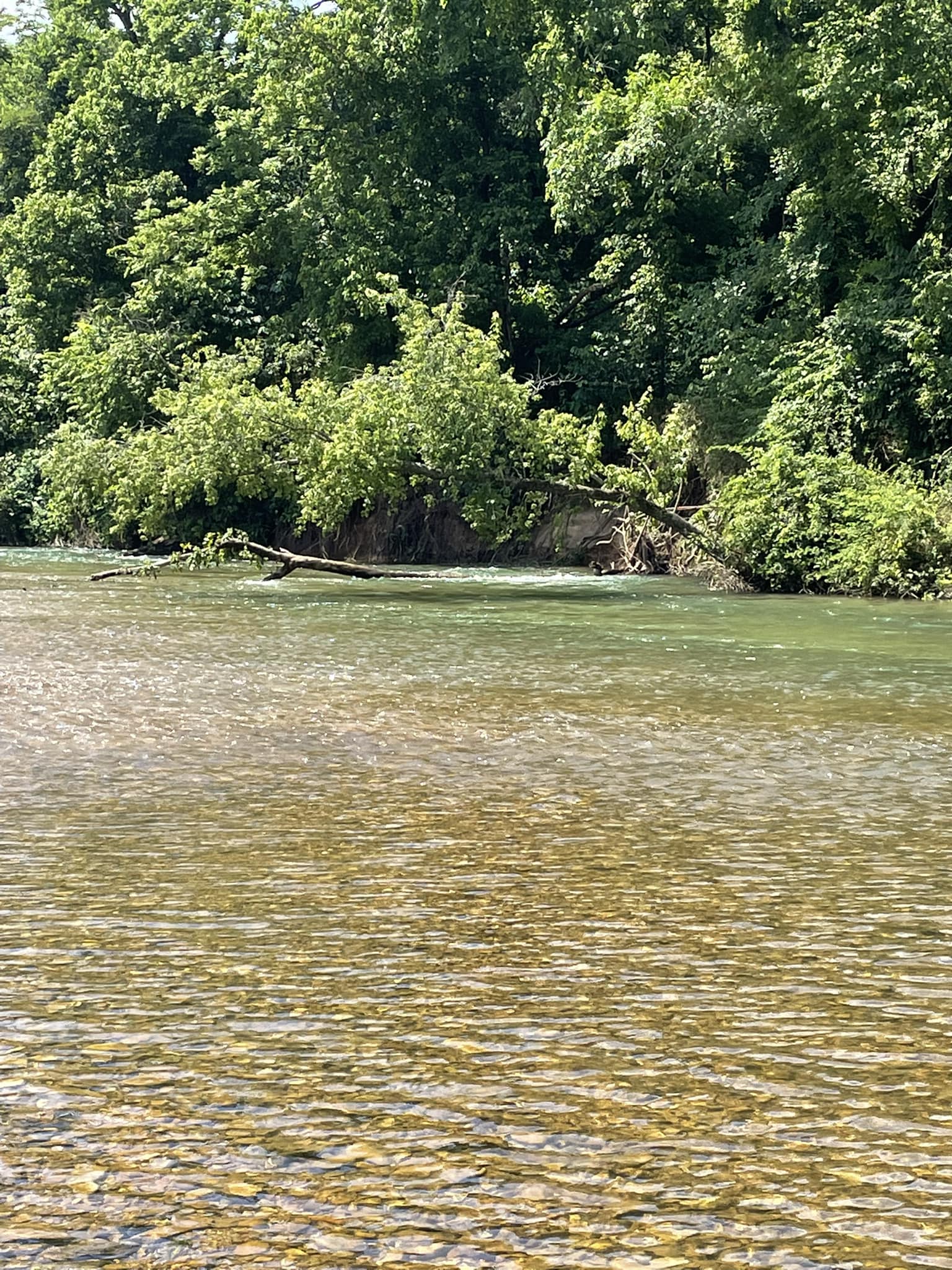 Current River, Jacks Fork & Eleven Point River (Missouri Scenic Rivers ...