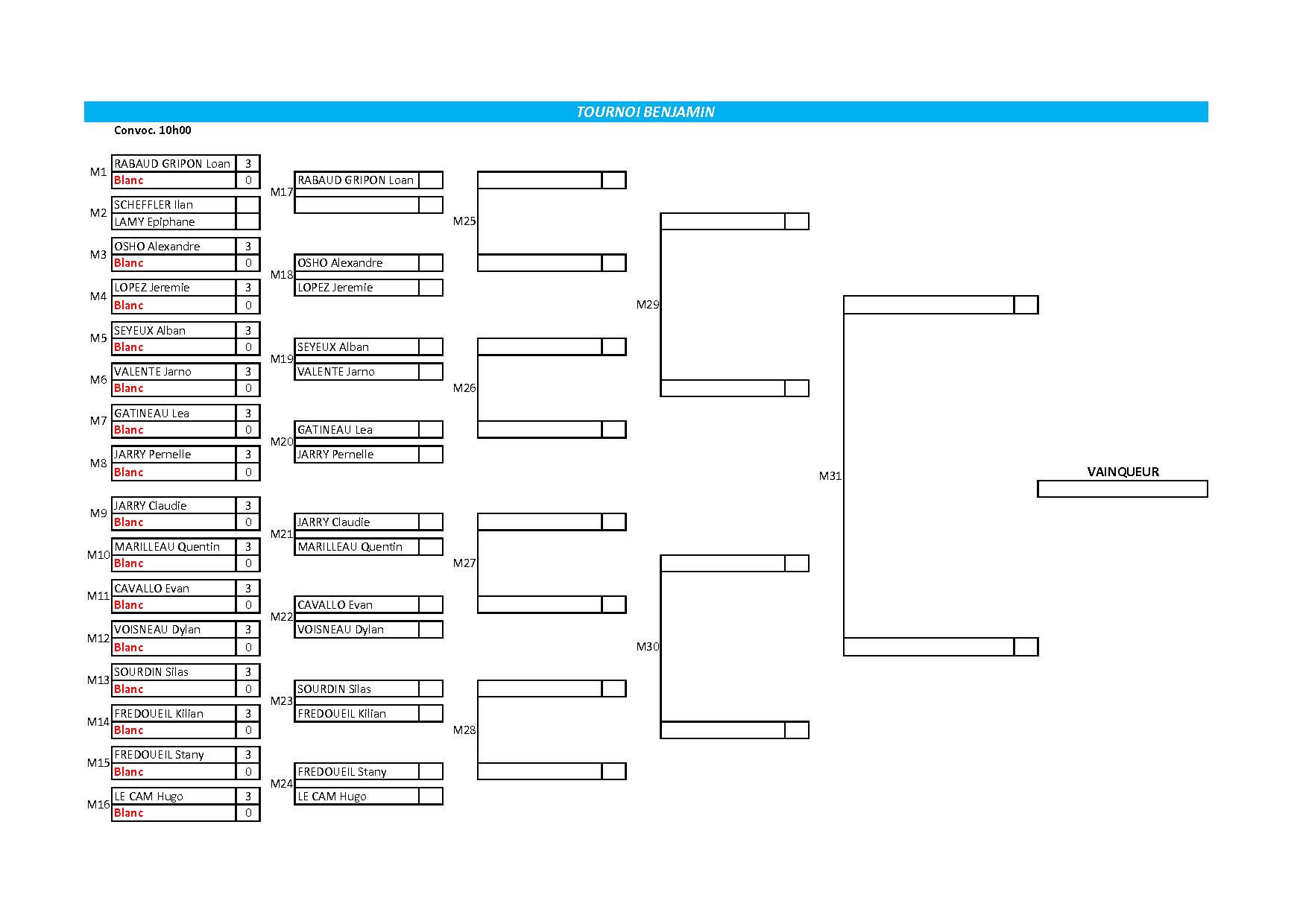 Ligue De Billard Des Pays De La Loire