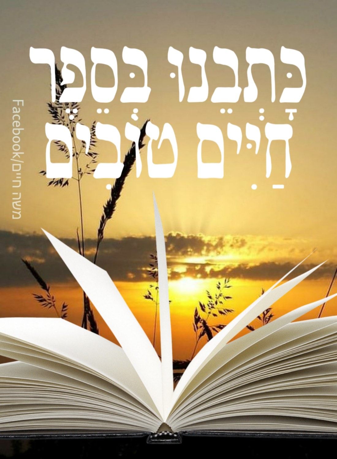 שבת תשובה שלום 💟 - משה חיים - Moshe Haim