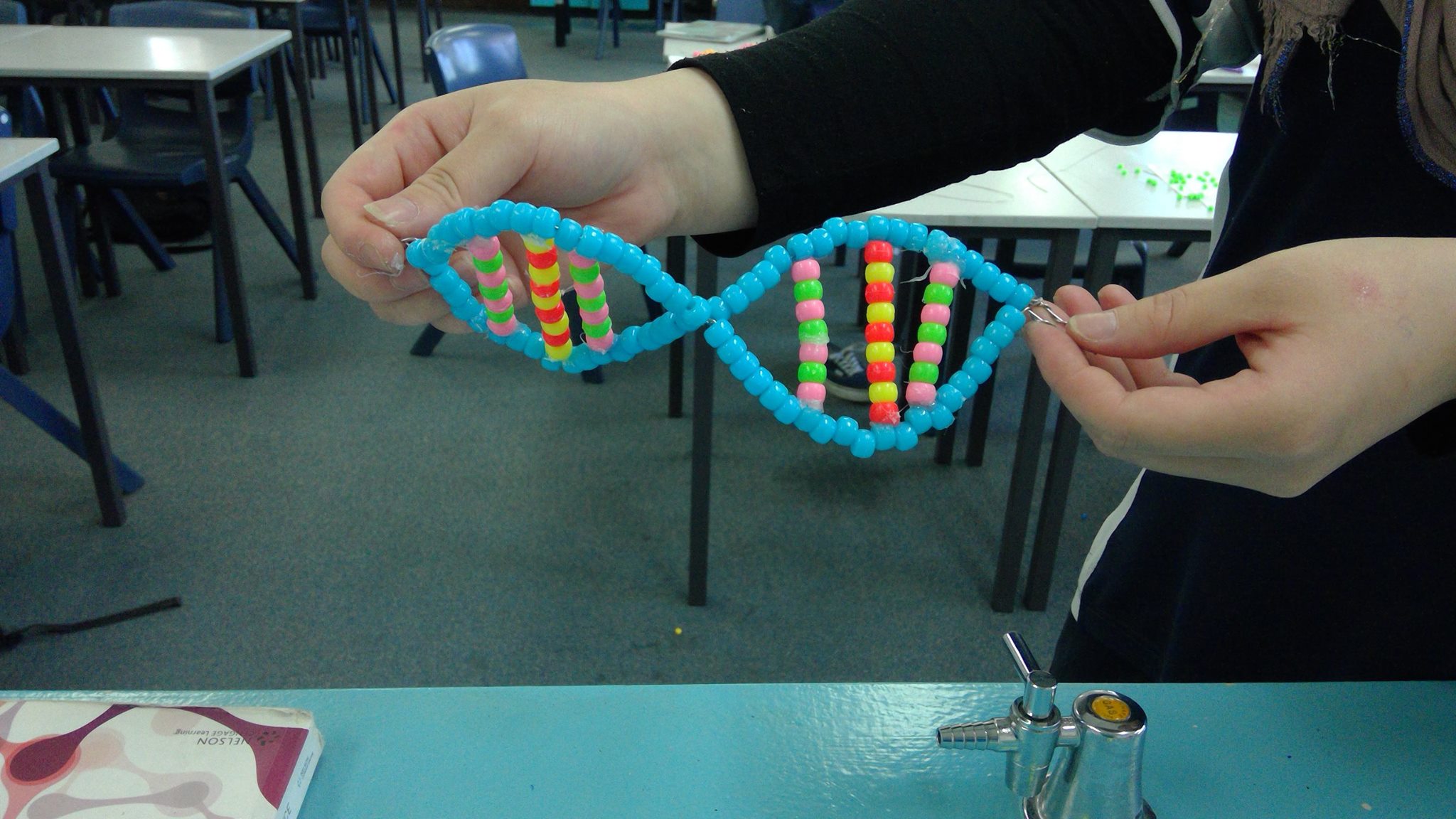 Dna Model Project Pipe Cleaners How To Make DNA With Pipe Cleaners