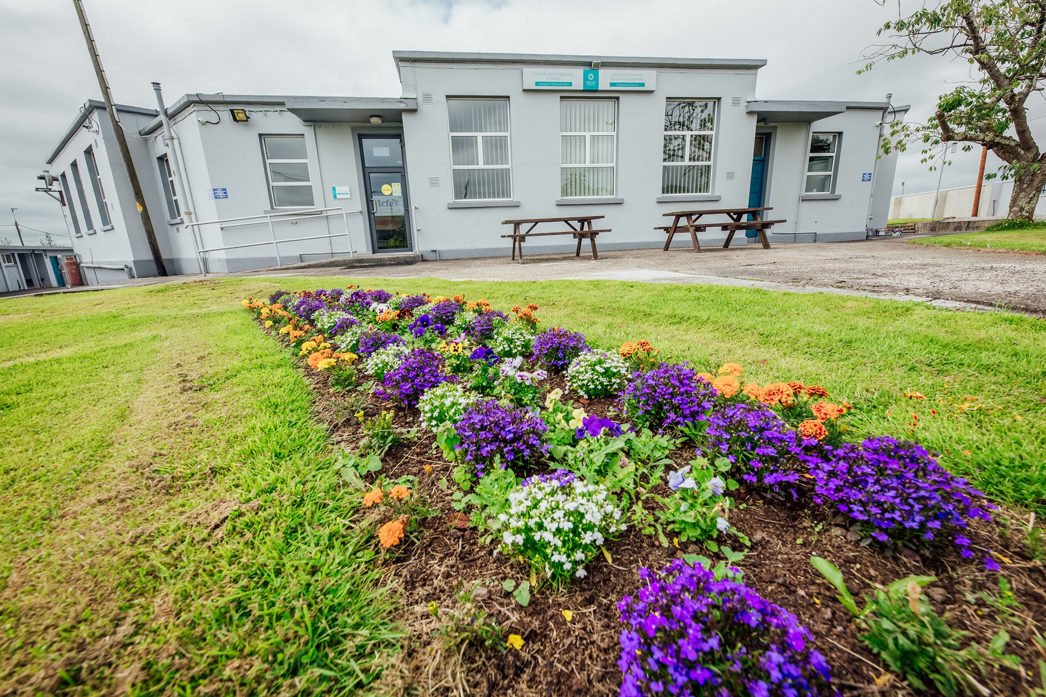 Cappamore - Please check out our website for details of classes at our ...
