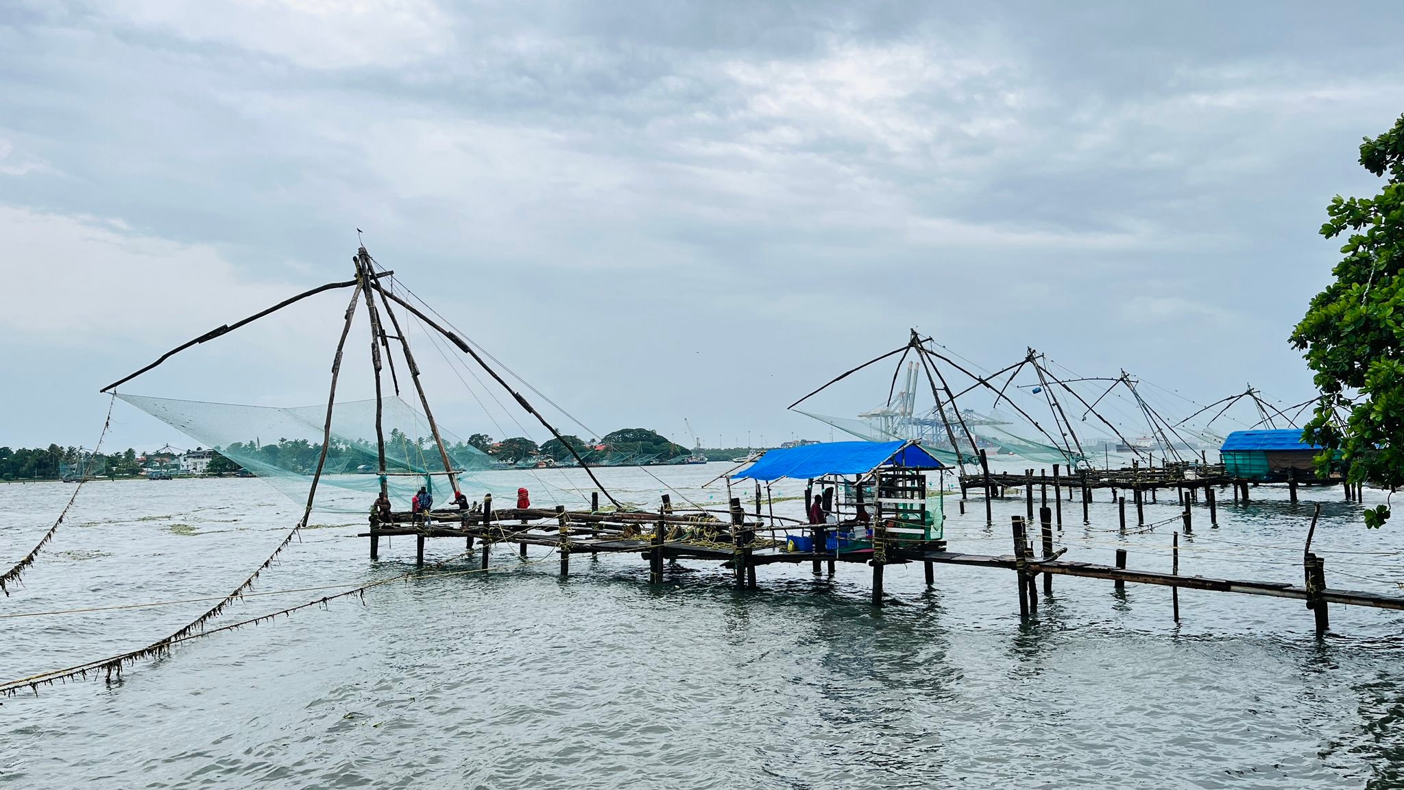 amazon betts monofilament fishing nets suppliers Old Salt Deep Hole Net, Yellow, Nylon Mesh, Modern Design : Fishing : Sports & Outdoors more and larger braille imported_from_etsy_12472 Fishing hooks explained in SET:78PCS Fishing Lures