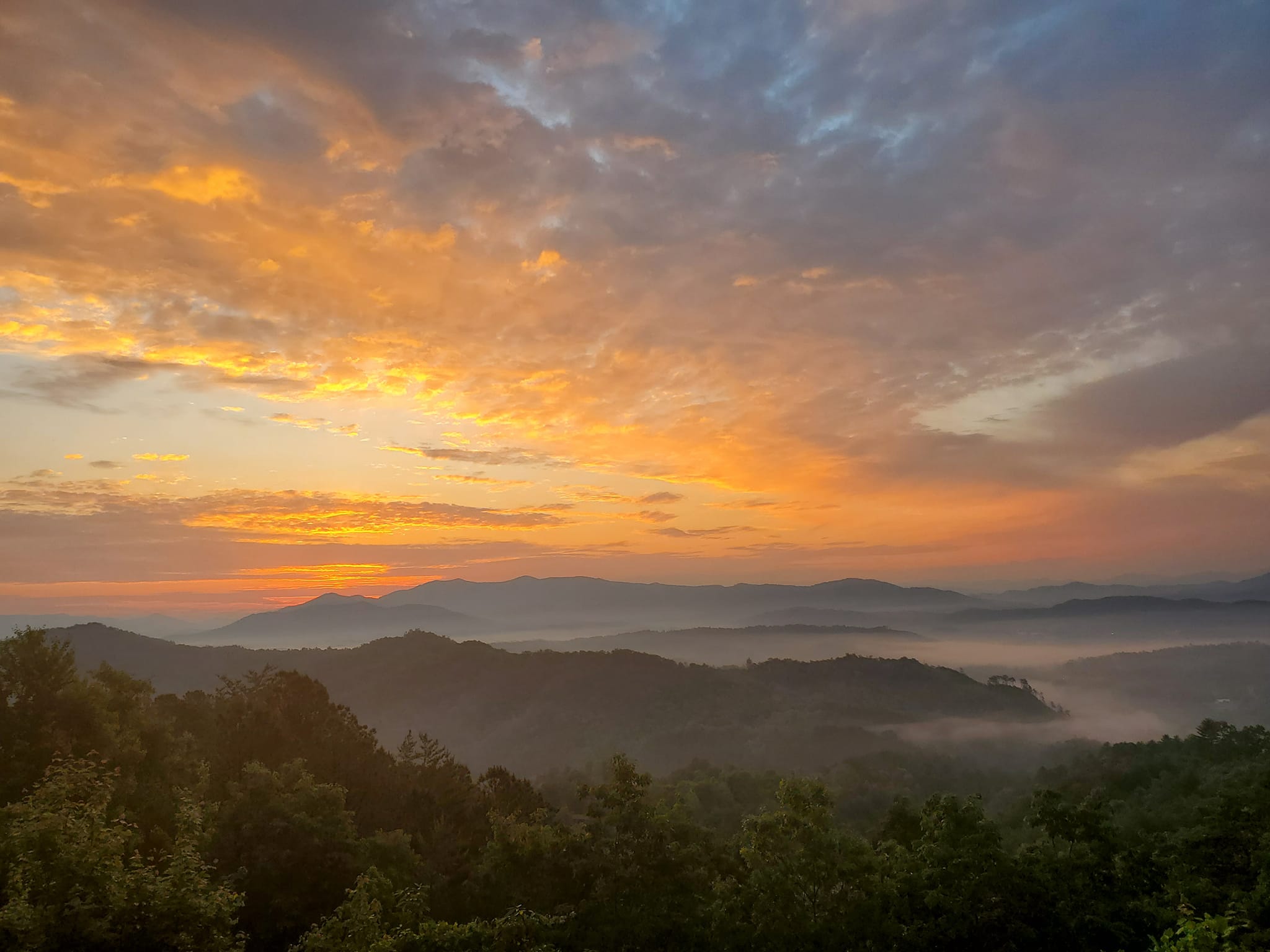 Hillside Cabins on Deer Mountain - hosted by Cristina and Tim Dulin ...