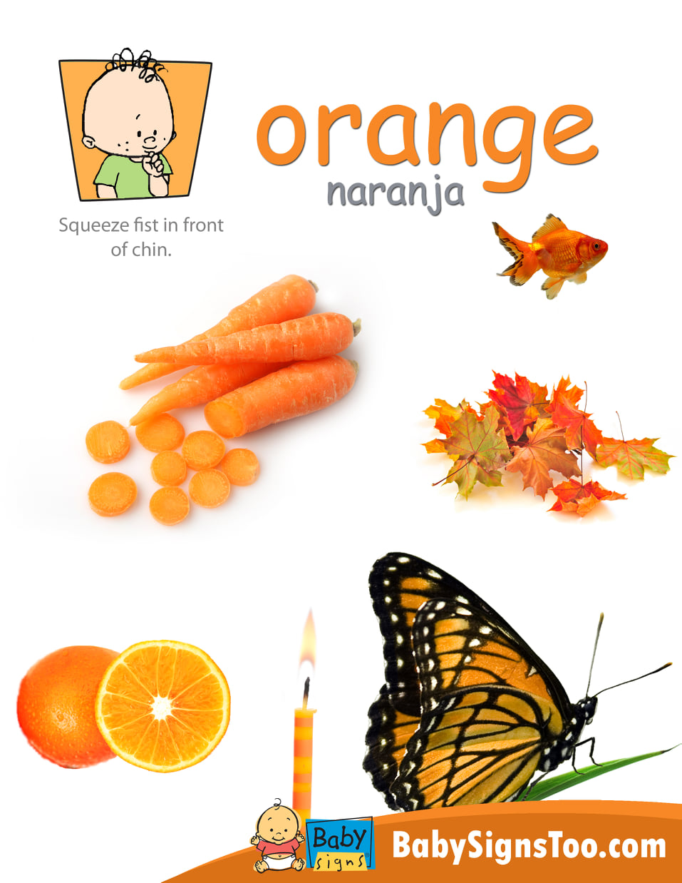 Teach your baby the ASL sign for ORANGE with this downloadable poster ...
