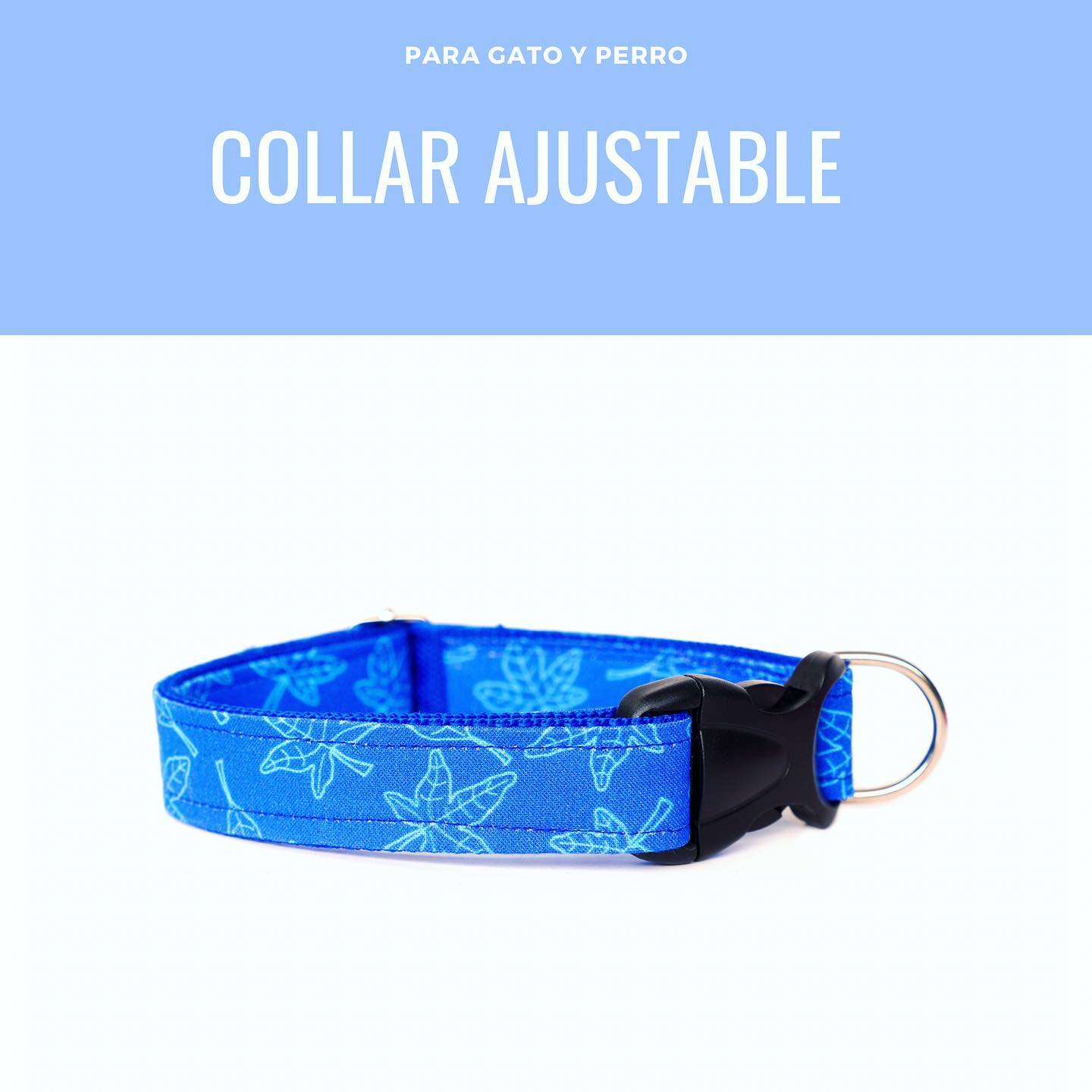 Nuevo collar azul para perro y... - Lo que hace el Mapache