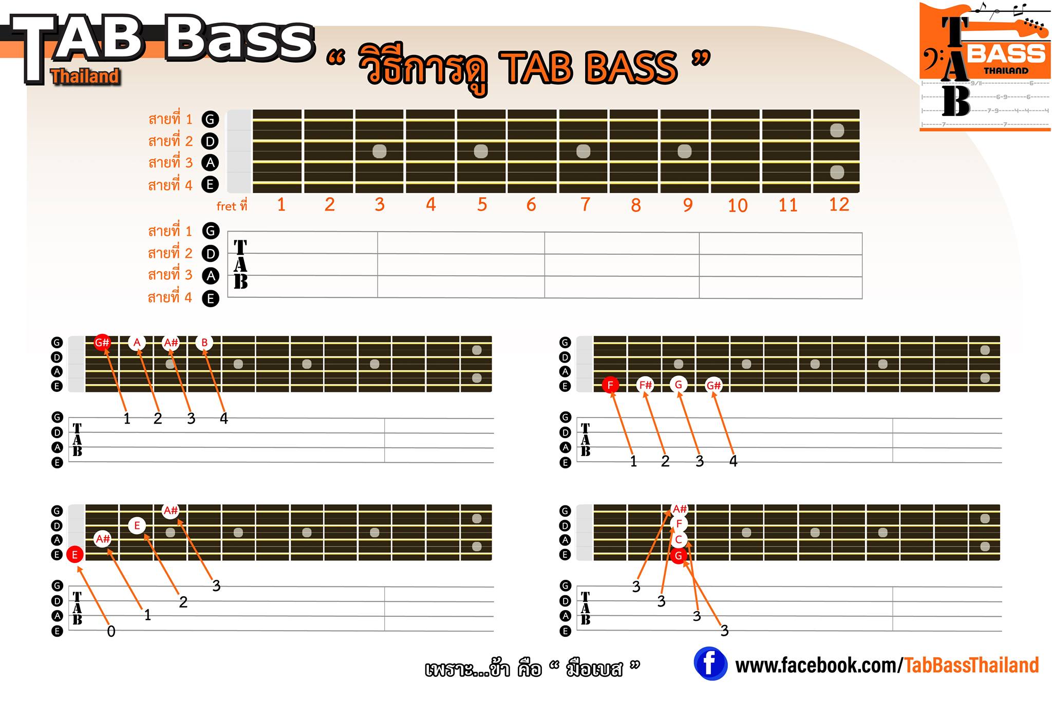 🎸วิธีการดู TAB BASS 🎼... - TAB BASS Thailand