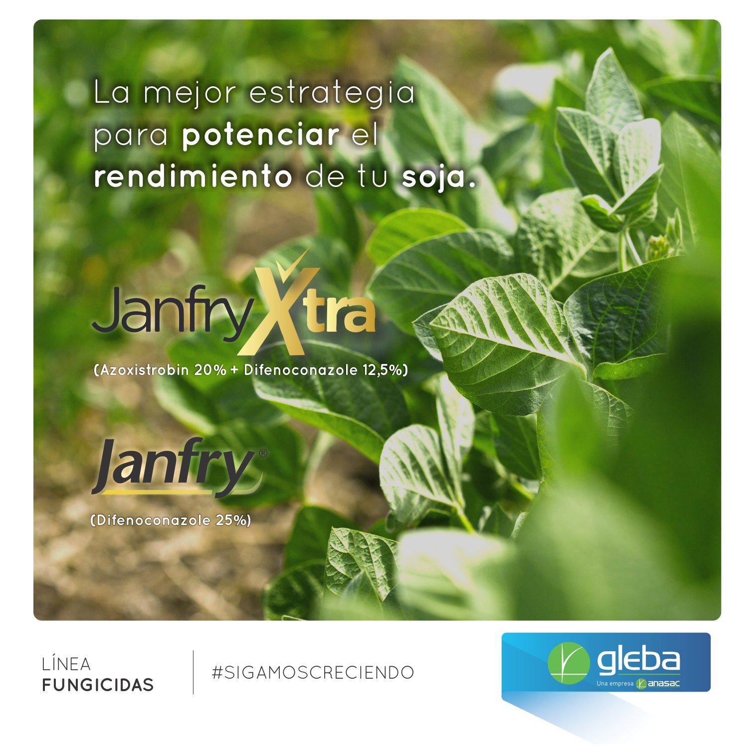 Gleba - Janfry y JanfryXtra son fungicidas sistémicos, de... | Facebook