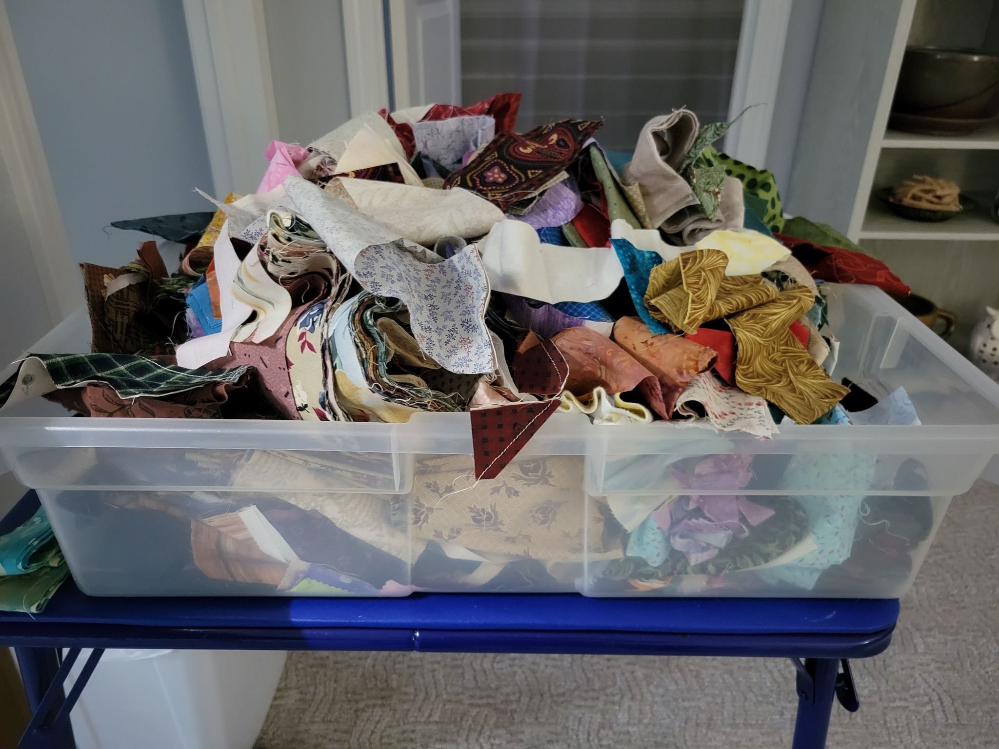 I pulled out one of my random bins. And this is what happened. | Facebook