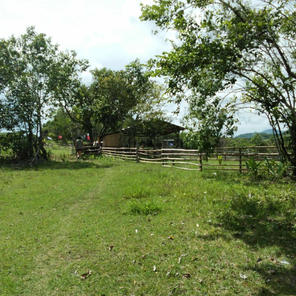 Farm lot for sale - Tanay Rizal - Property For Sale - Pasig | Facebook ...