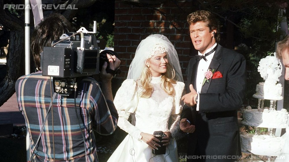 Catherine Hickland And David Hasselhoff